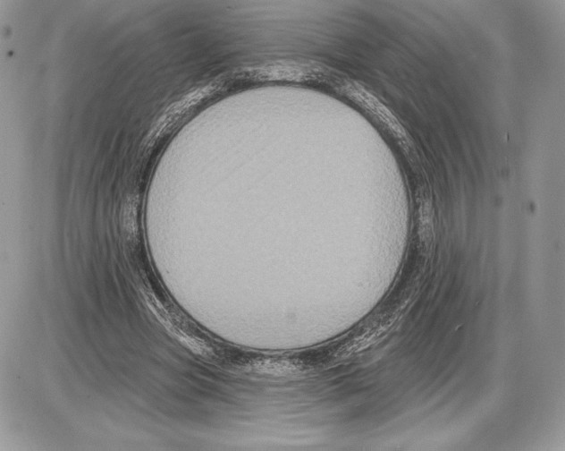 X0000085760537200704131740
