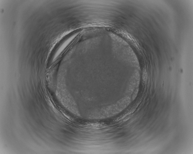 X0000085760540200704131740