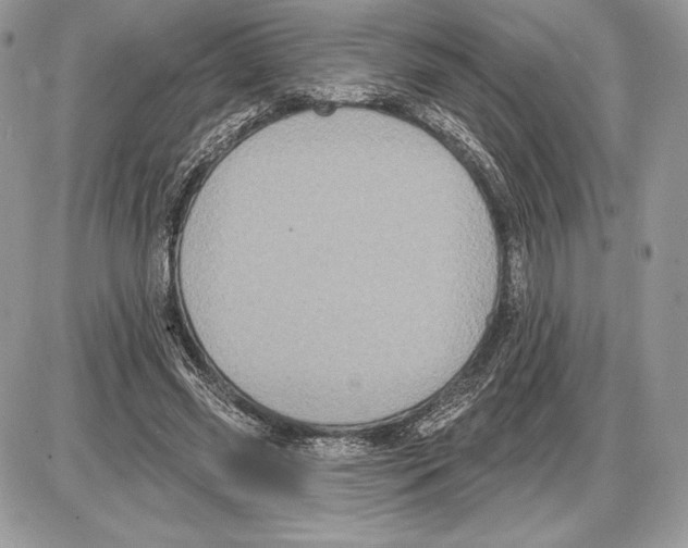 X0000085760541200704131740