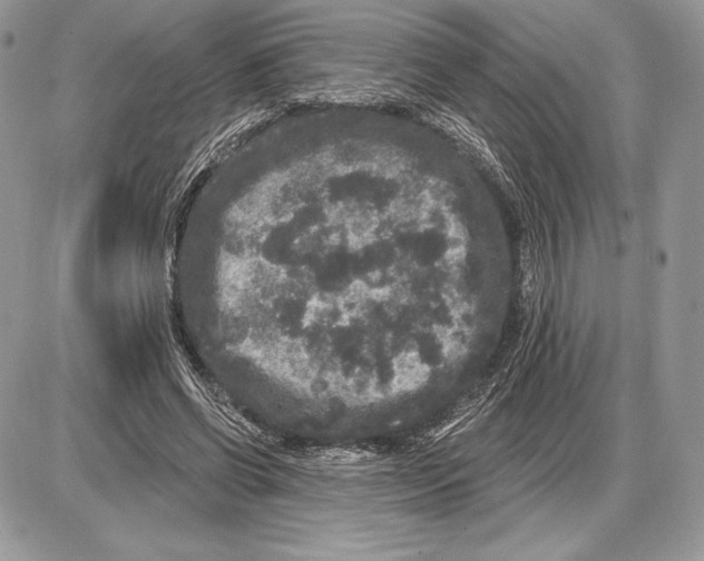 X0000085760542200704131740