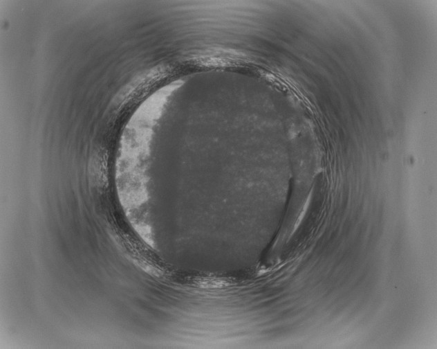 X0000085760547200704131740