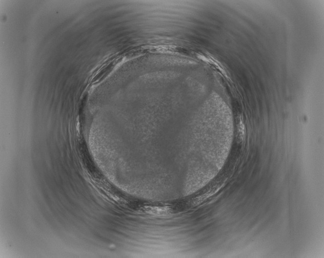 X0000085760552200704131740