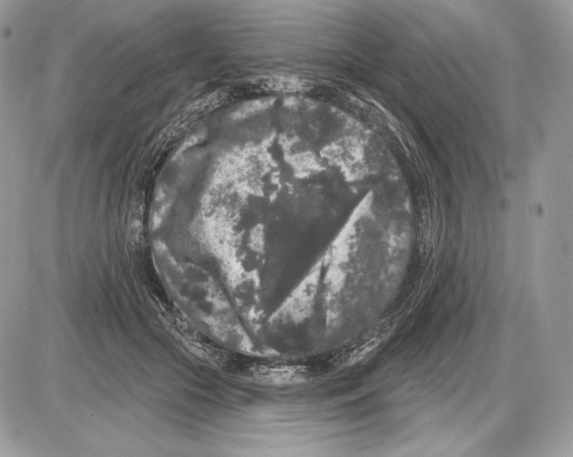 X0000085760553200704131740