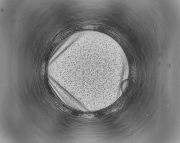X0000085760554200704131740