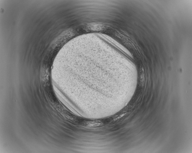 X0000085760555200704131740