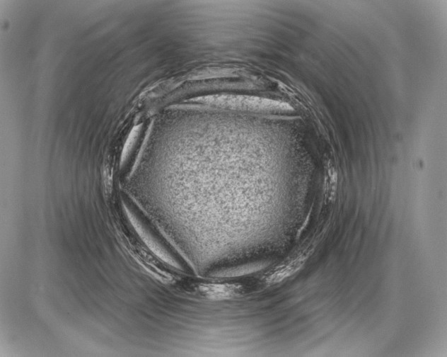 X0000085760558200704131740