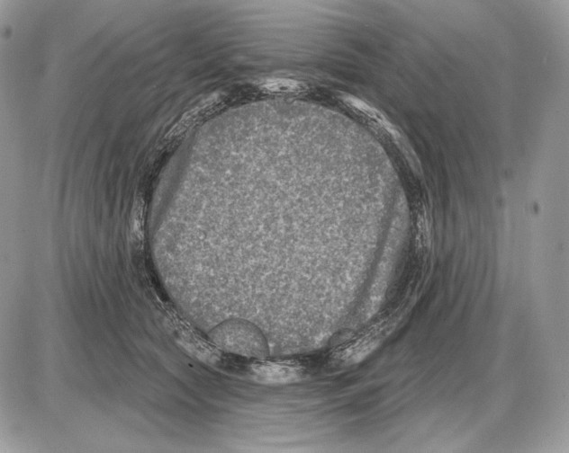 X0000085760561200704131741