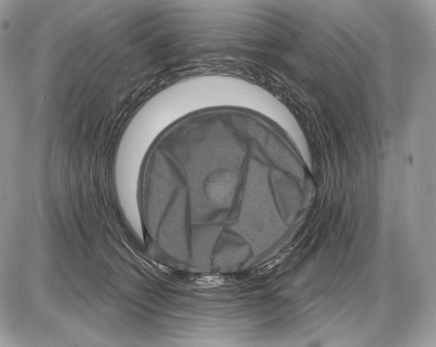X0000085760562200704131741