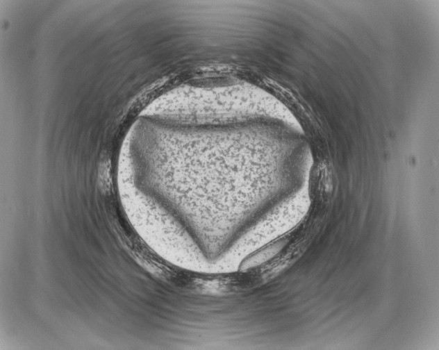 X0000085760564200704131741
