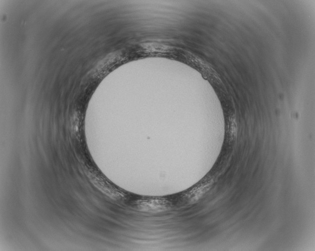 X0000085760567200704131741