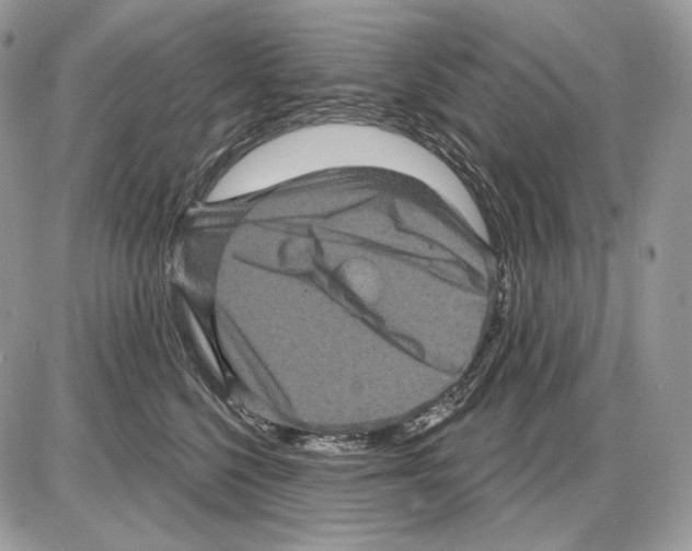 X0000085760568200704131741