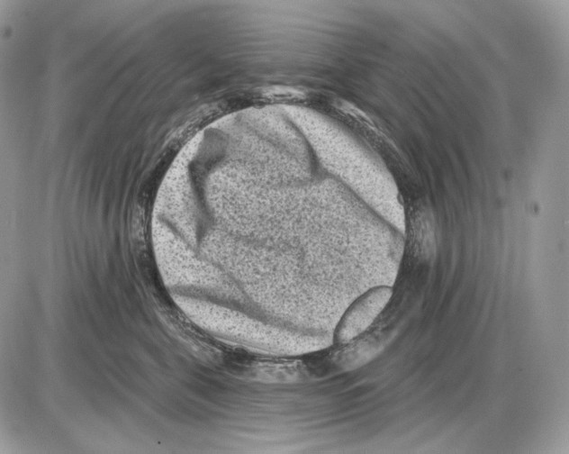 X0000085760571200704131741