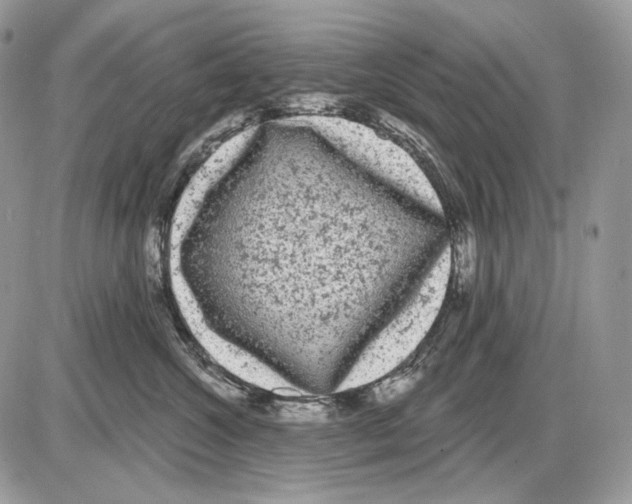 X0000085760572200704131741