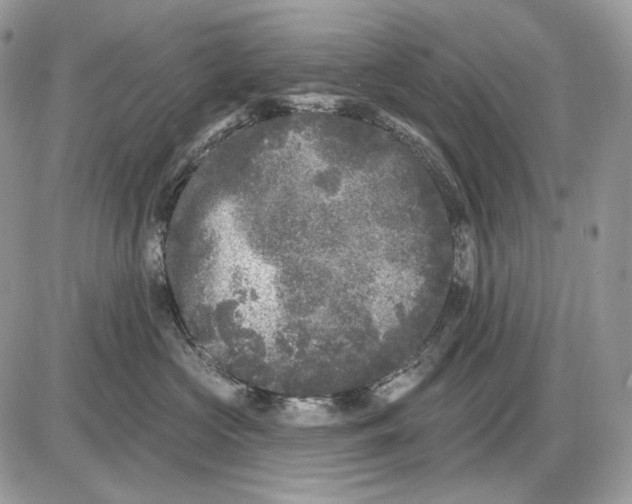 X0000085760573200704131741