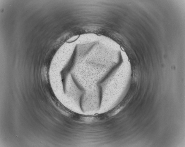 X0000085760575200704131741