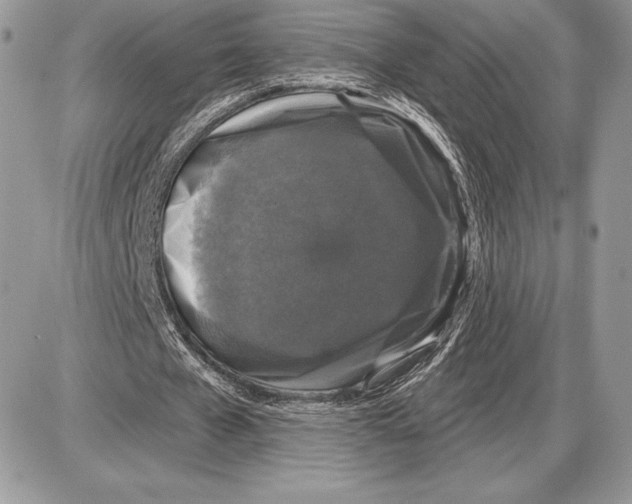 X0000085760577200704131740