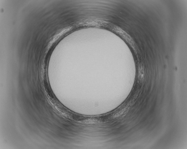 X0000085760578200704131740