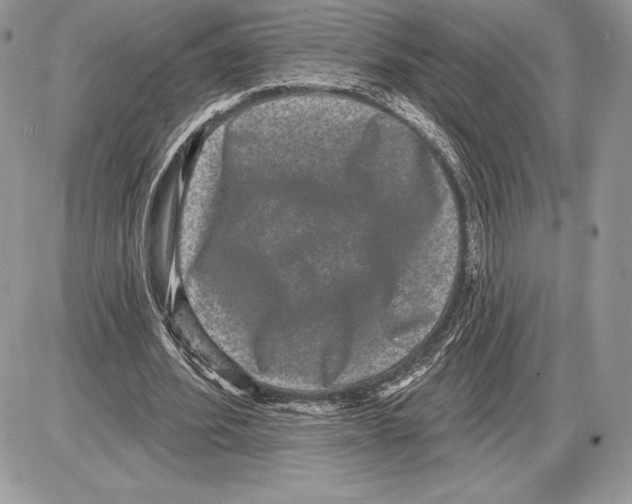 X0000085760580200704131740