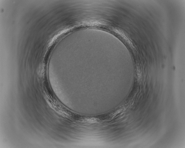 X0000085760583200704131740