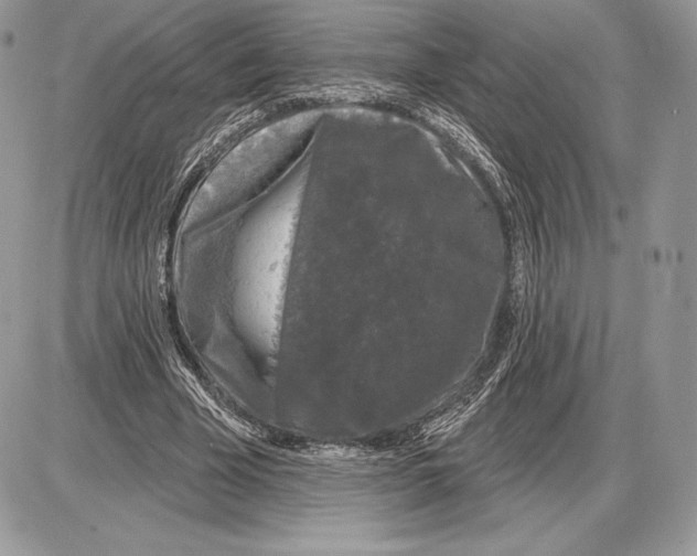 X0000085760585200704131740
