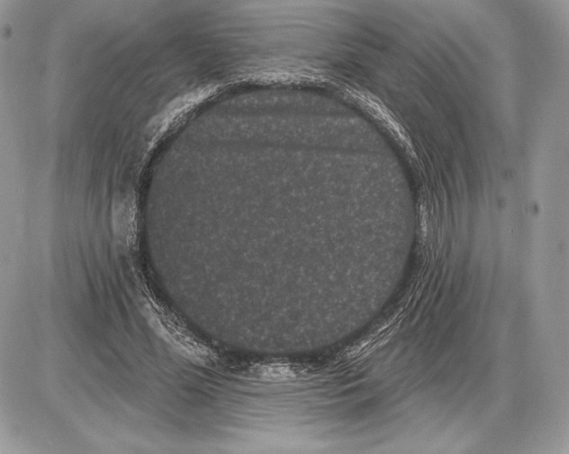 X0000085760588200704131740