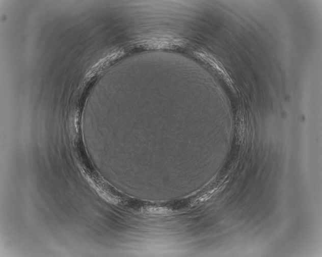 X0000085760590200704131740