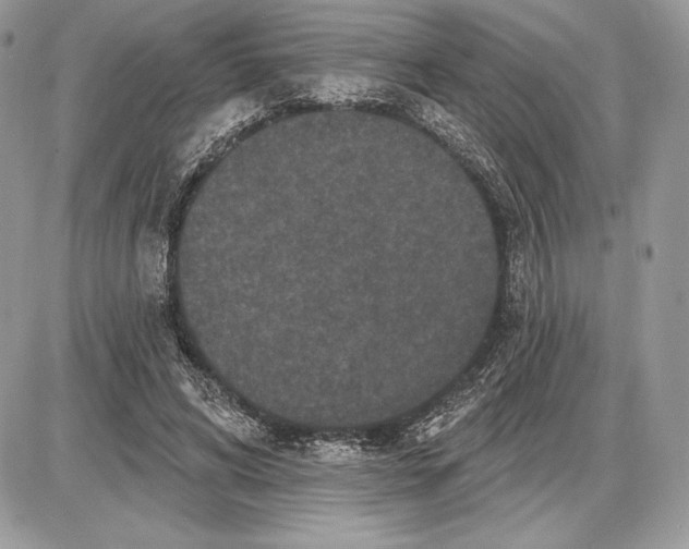 X0000085760592200704131740