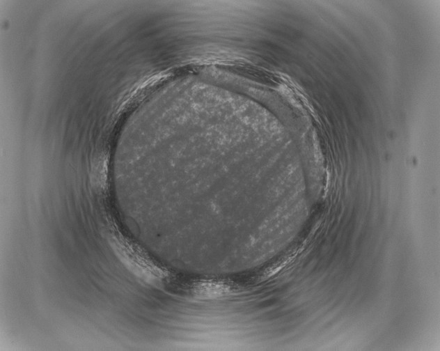X0000085760596200704131740