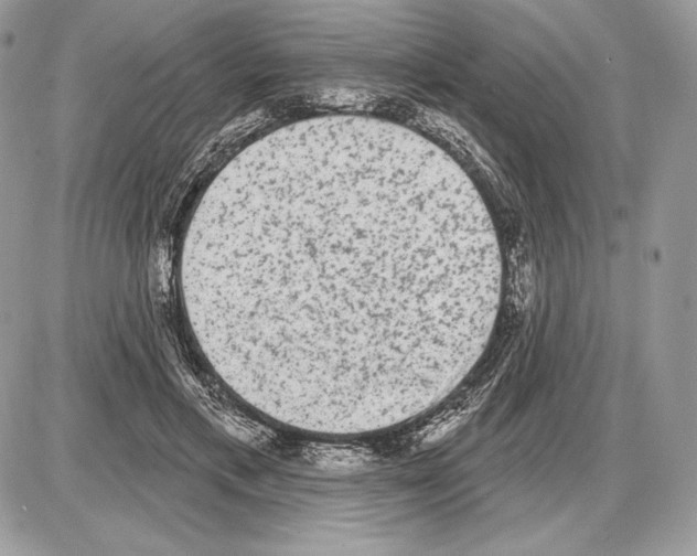 X0000085760597200704131740