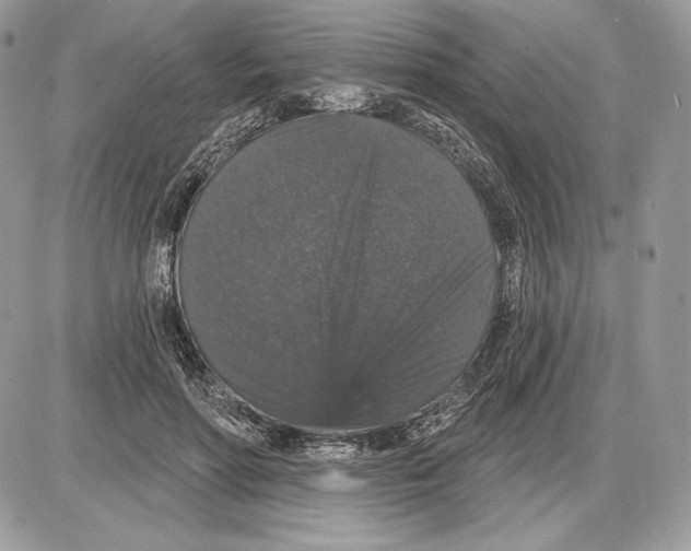 X0000085760598200704131740