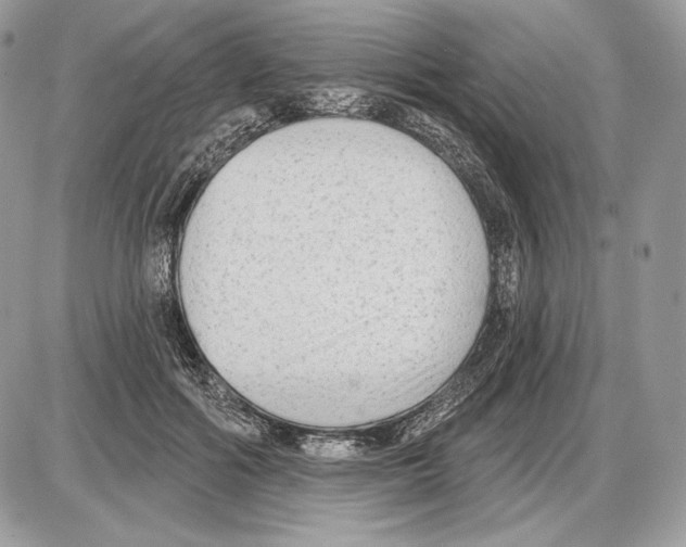 X0000085760602200704131740