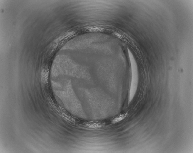 X0000085760604200704131740