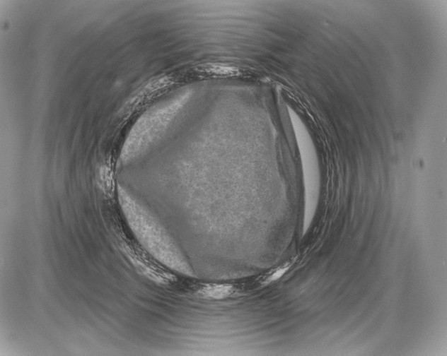 X0000085760609200704131739