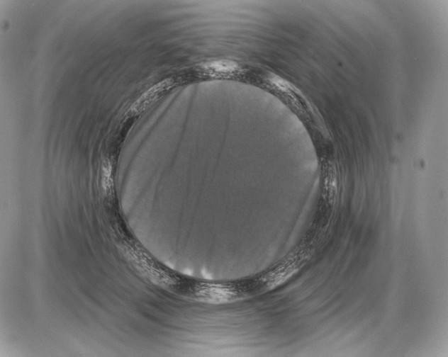 X0000085760610200704131739