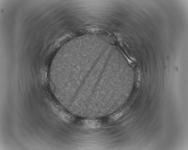 X0000085760615200704131739