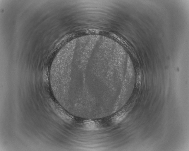 X0000085760616200704131739