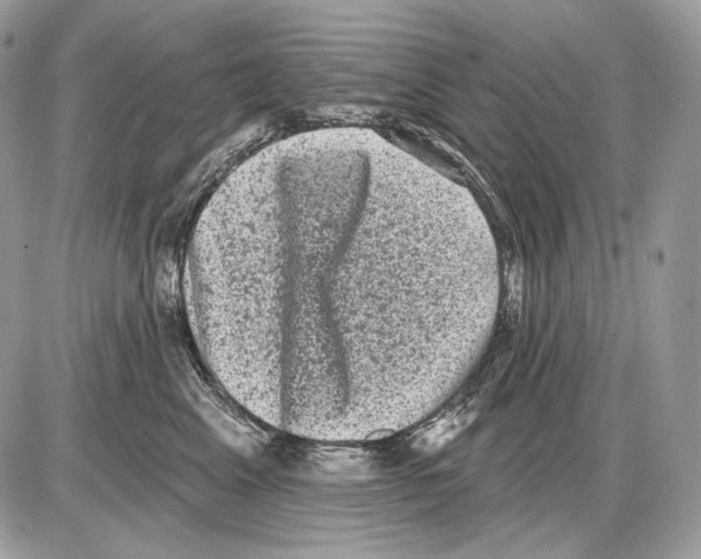 X0000085760617200704131739