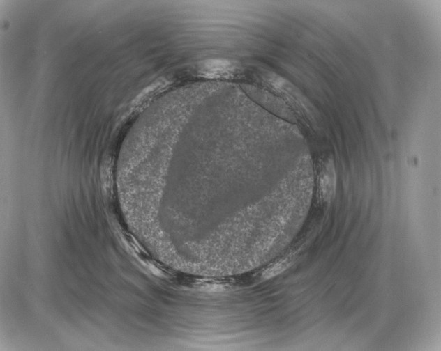 X0000085760620200704131739