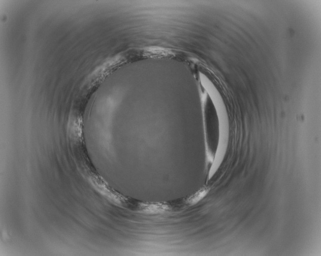 X0000085760621200704131739