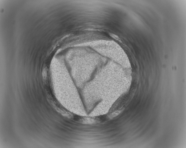 X0000085760623200704131739