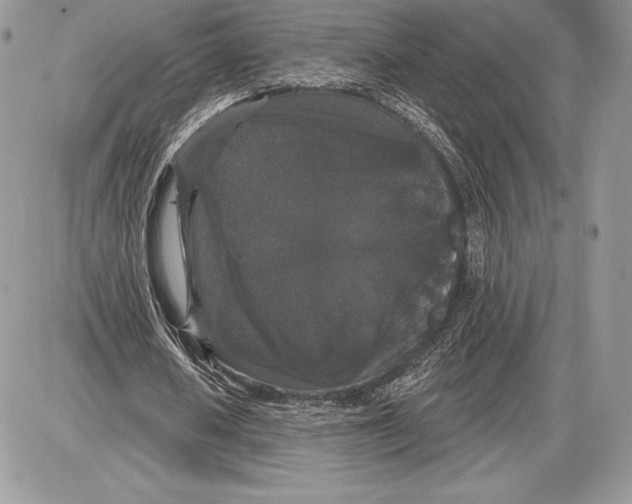 X0000085760626200704131738