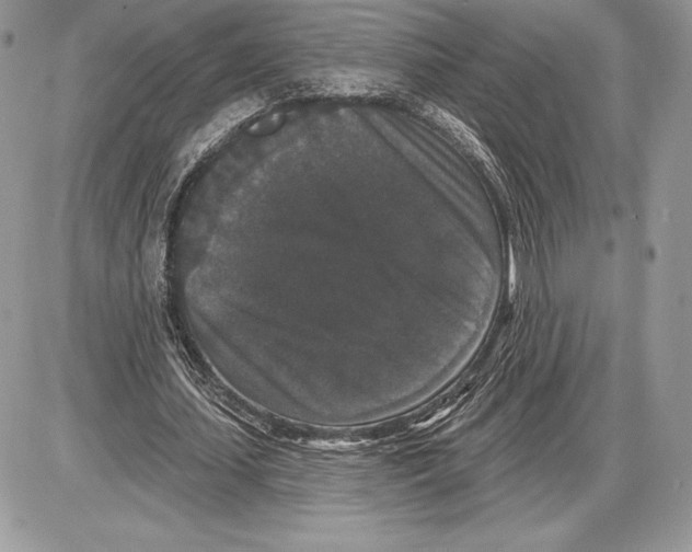 X0000085760627200704131738