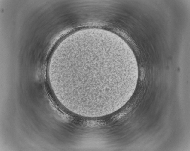 X0000085760632200704131739