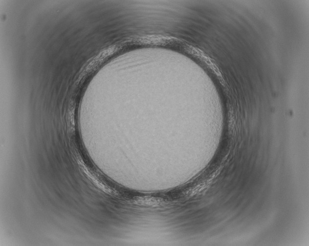 X0000085760633200704131739