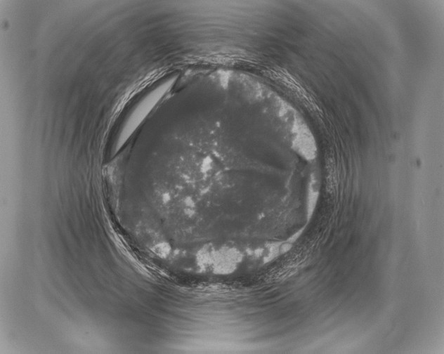 X0000085760634200704131739