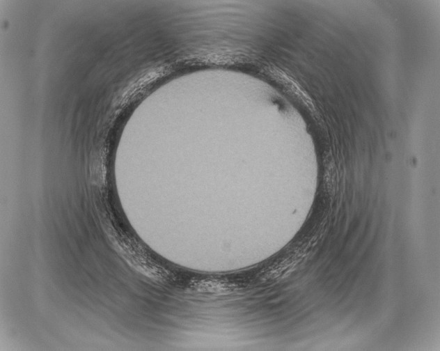 X0000085760635200704131739