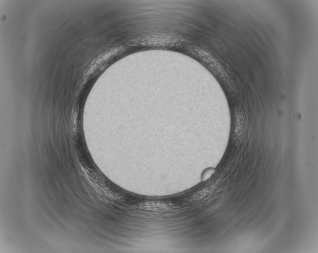 X0000085760636200704131739