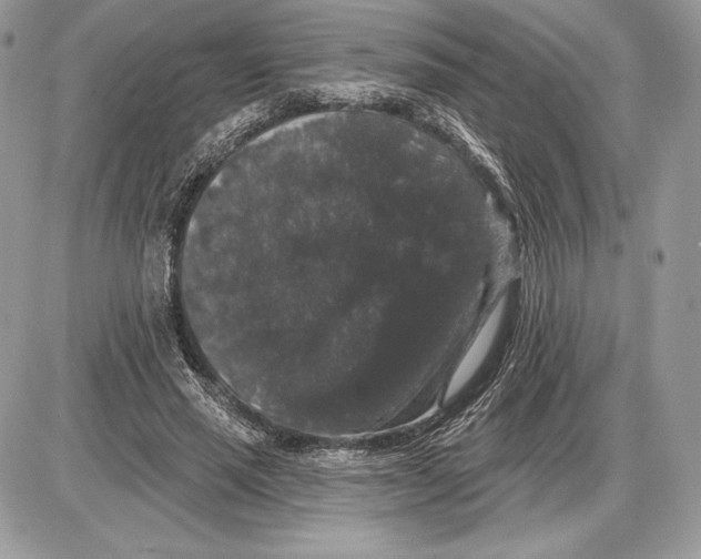 X0000085760637200704131739