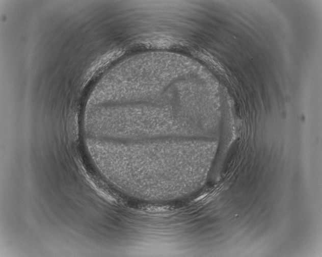 X0000085760638200704131739