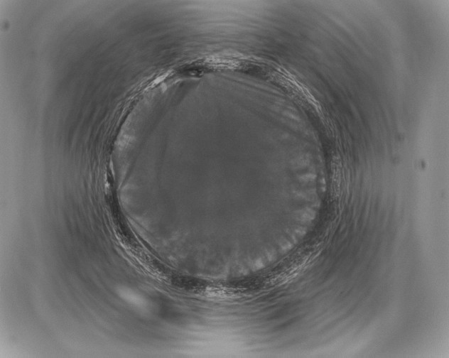 X0000085760641200704131739